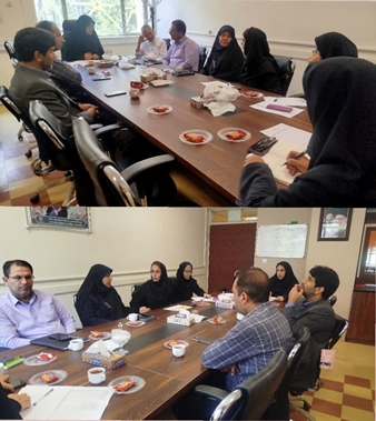 جلسه کارگروه پیشگیری و مقابله با سقط عمدی جنین برگزار شد 